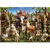 Image de Bauernhof Buddies puzzle 500pcs