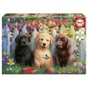 Image de Educa Puzzle de chiots 100 pièces Multicolore One Size
