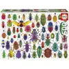 Image de Puzzle - EDUCA - Scarabées - 500 pièces