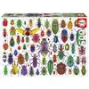 Image de Puzzle pour Adultes Scarabee de 500 Pièces - Éveillez Votre Créativité - Neuf