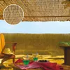 Image de Brise Vue En Roseau 75% Occultant 1 X 5 M Reedcane - Nortene