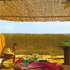 Image de Celloplast - Nortene Brise Vue En Roseau 75% Occultant 2 X 5 M Reedcane