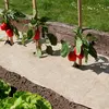 Image de Paillage naturel 75 x 500 cm - pour jardin et potager 100% biodégradable - 500 g/m2