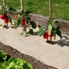 Image de Nortene - Paillage Naturel 75 X 500 Cm - Pour Jardin Et Potager 100% Biodégradable - 500 G/m2