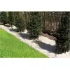 Image de Paillage naturel 50 x 300 cm - pour jardin et potager 100% biodégradable - 500 g/m2