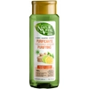 Image de Shampooing purifiant au gingembre et au citron ECO 300 ml