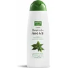 Image de Shampooing École Phyto Nature Arbre à Thé 400ml