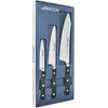 Image de Set de 3 couteaux de cuisine inox - Arcos - 805900 - série opera
