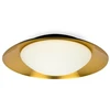 Image de Plafonnier LED SIDE 15W noir, cuivre