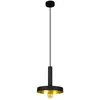 Image de WHIZ suspension noire 1 ampoule