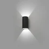 Image de Applique murale extérieure LED BRUC 2x6W 3000K IP54 gris foncé