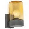 Image de Applique murale gris foncé avec verre brun KILA 71745
