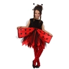 Image de DÃ©guisement de Coco la Coccinelle