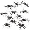 Image de Sachet Araignées x 12