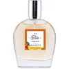 Image de FRUIT TEA COLLECTION MANGO edt vape 100 ml