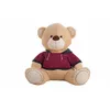 Image de Ours en peluche Sport Sweater avec capuche 80 cm