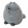 Image de Peluche chat Gordi 34 cm