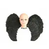Image de Paire d'Ailes Ã  Plumes Noires - 65 x 50 cm
