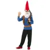 Image de DÃGUISEMENT GNOME (GARÃON 5-6 A)