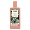 Image de Saphir Botanic de Verveine Edt Spray 50 Ml