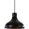 Image de Plafonnier Vintage Noir Design Rétro Industriel - Edm