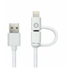 Image de Spring Cable Cable 2 En 1 2.4A Usb/Micro-Usb/Lightning Blanc - Neuf