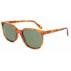 Image de Lunettes de soleil unies LGR SPRING-HAVANA-02 Havana (ø 50 mm)