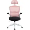 Image de Silla Gaming Woxter GM26-109