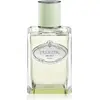 Image de Prada Infusion D'Iris Eau de Parfum 100ml