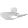 Image de Ventilateur De Plafond Led 18w   Moteur Dc Silencieux   Température De Couleur Réglable 3000k À 5000k   8 Vitesses   Pour Pièces Jusqu'à 13 M²   Mantra