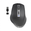 Image de Souris NGS BLUR-RB sans fil noire