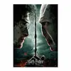 Image de Harry Potter Puzzle Harry vs Voldemort - SD Toys Puzzle - SDTWRN23240
