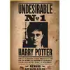 Image de Mini puzzle Harry Potter 50 ks Poster