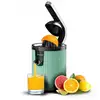 Image de CECOTEC 03898 - Presse-agrumes avec bras levier Xqueeze RetroJuice 600 Green - Neuf