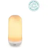 Image de New Garden Candy Rechargeable battery