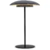 Image de Nouvelle lampe de jardin SARDINIA 30 anthracite à batterie