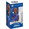 Image de SUPERBUZZ MINIX Chelsea Sterling 14323