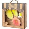 Image de Oli&carol paquet nouveau-né papillon Golden Golden One Size
