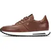 Image de Martinelli Sneakers 10184-424631 in Cuero color size 42