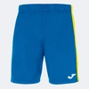 Image de Joma short de handball MAXI SHORT