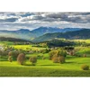 Image de Puzzle 3000 pièces Le printemps par-dessus la corde