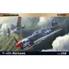 Image de Maquette EDUARD 82242 EDUARD-PROFIPACK P-40N WARHAWK (FOR 82242) 1/48 1/48 - Maquette d'avion - Edua82242