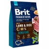 Image de Brit Premium By Nature Sensitive Lamb 3kg
