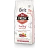 Image de Brit Fresh Dog Puppy Large Beef & Pumpkin 12kg
