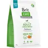 Image de Brit Care Dog sans céréales s lososem Adulte Grandes Races 3 kg