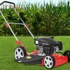 Image de Hecht - Jardin 5511 Tondeuse A Gazon A Essence 4temps Monocylindre