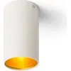 Image de TUBE plafond blanc mat/doré 230V GU10 35W