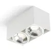 Image de JAMES II DIMM plafond blanc mat 230V LED 2x15W 24° 3000K
