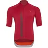 Image de Jersey Silvini Mazzano MD2424 short hommes merlot-ruby Taille S 3124-MD2424-22212