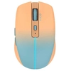 Image de Inca IWM-511RT souris Bureau Droitier RF Wireless + Bluetooth + USB Type-C Optique 1600 DPI - Neuf